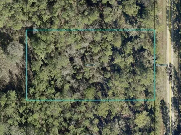 10065 Carpenter Ave, Hastings, FL 32145