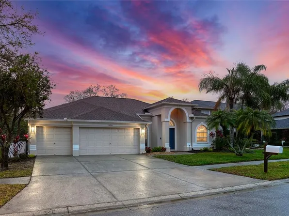 16210 Muirfield Dr, Odessa, FL 33556