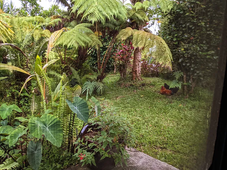 811 Waianuenue Ave — Photo 9