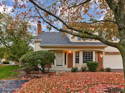 216 Still Water Ct, Palatine, IL, 60067