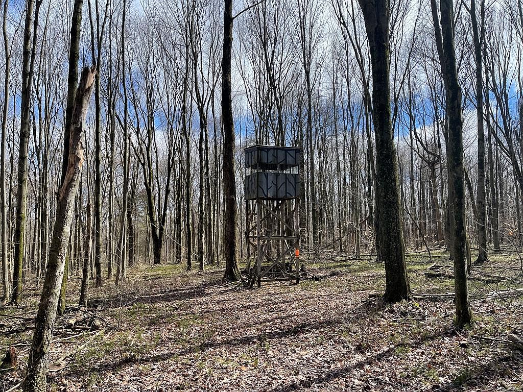 0 Line Rd, Cooperstown, PA 16317 MLS 158918 Zillow