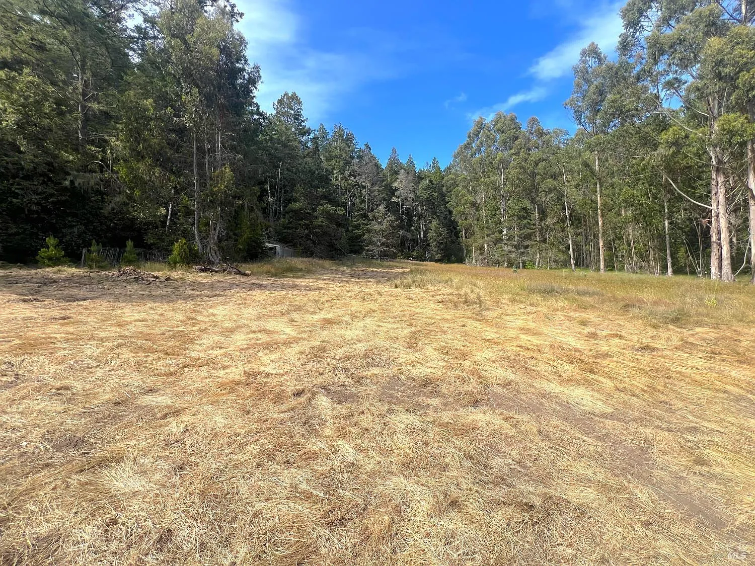 23285 Highway 1 - Photo 11