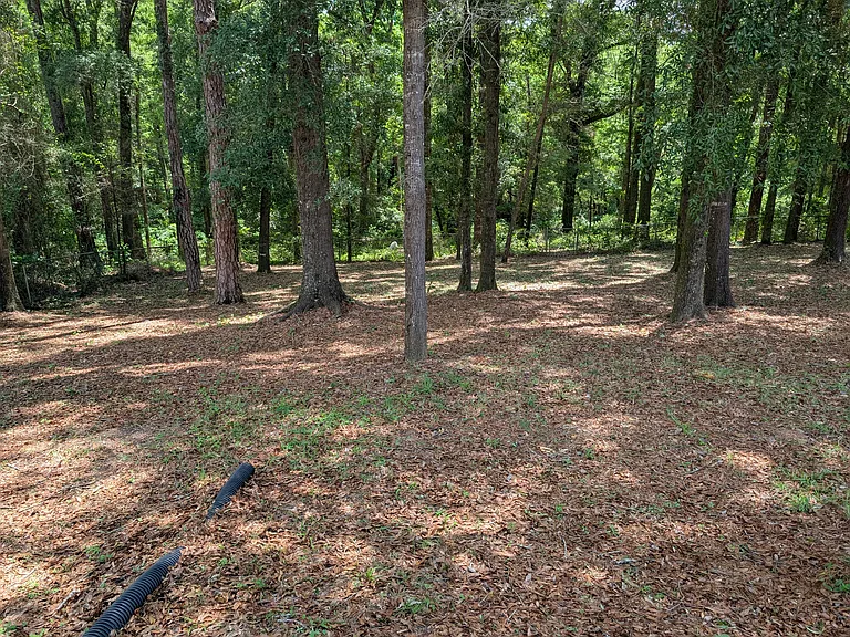 Large fenced back Yard, with trees for shade.