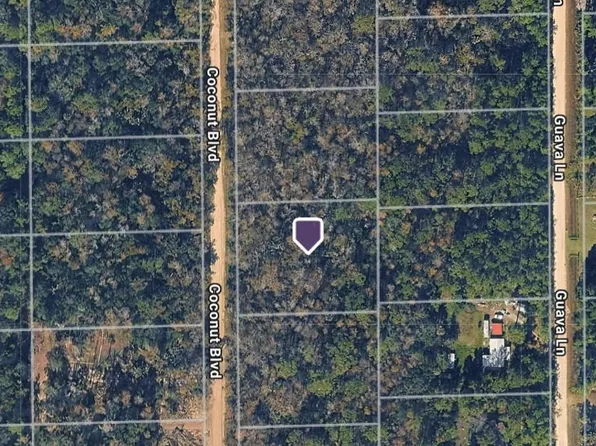 1743 Coconut Blvd #9, Bunnell, FL 32110