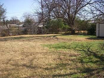 Back Yard