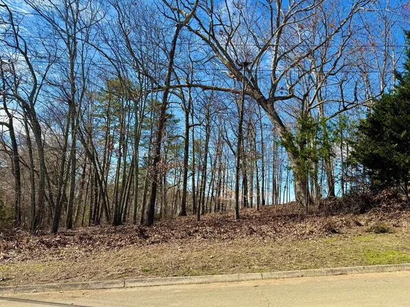 LOT 37 Lake Vista Dr, White Pine, TN 37890