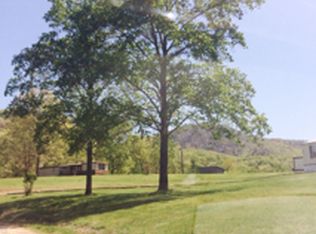 307 Wauka Ridge Rd, Clermont, GA 30527