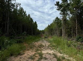 County Road 34 Parcel A, Dadeville, AL 36853