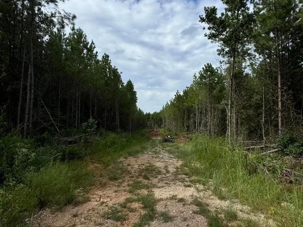 County Road 34 Parcel A, Dadeville, AL 36853