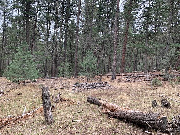 5th image of 48 Cowan Rd