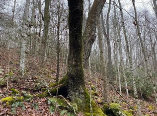 Stinking Creek Rd, Pioneer, TN 37847