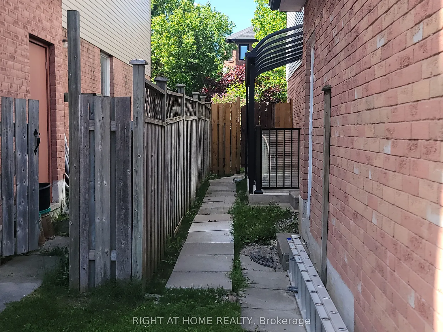 1 bed, $1,500 — Photo 2