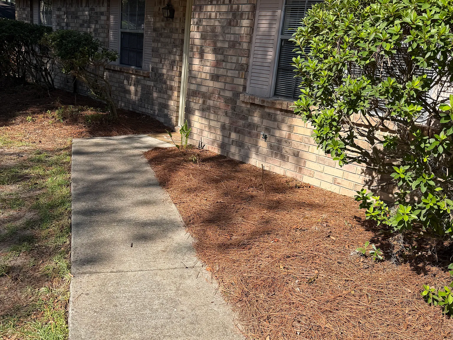 3 bed, $1,795 — Photo 3