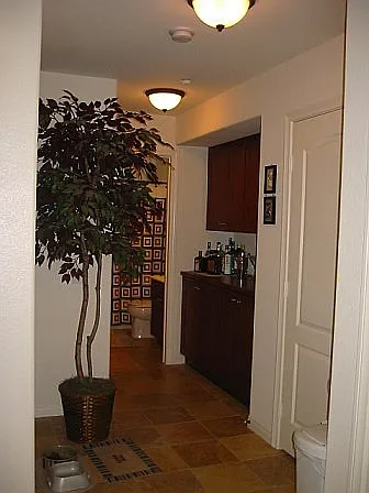 3147 Trinity Bay Pl — Photo 8
