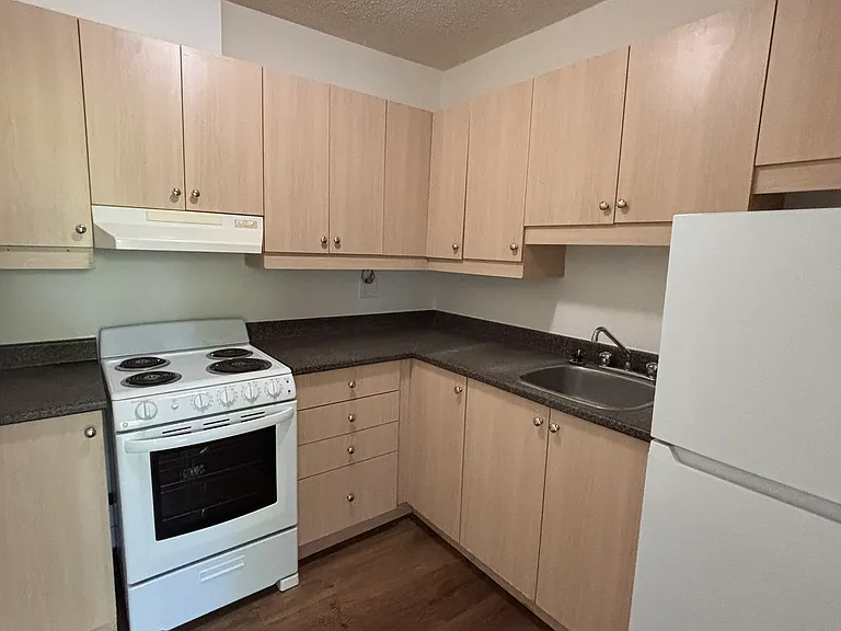 431 Daly Ave #203 — Photo 8