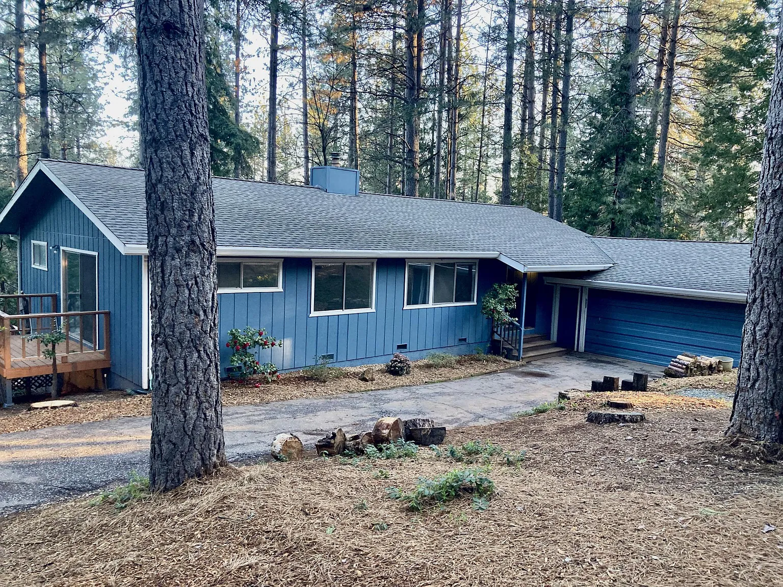 11625 Forest View Dr photo 1