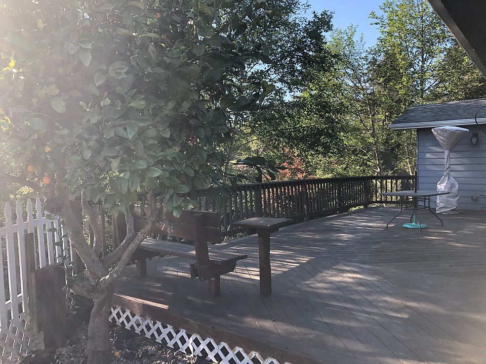 Meyer lemon tree & deck