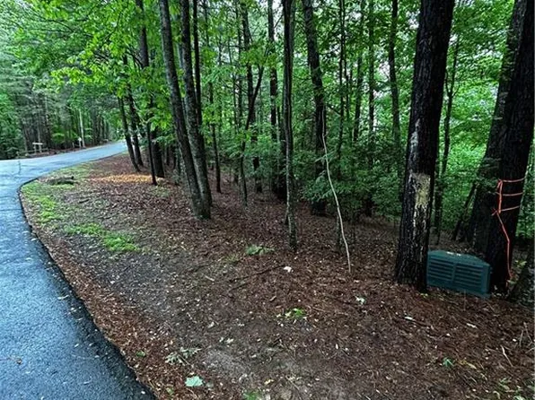 0 Lazy River Ln #115, Ellijay, GA 30536