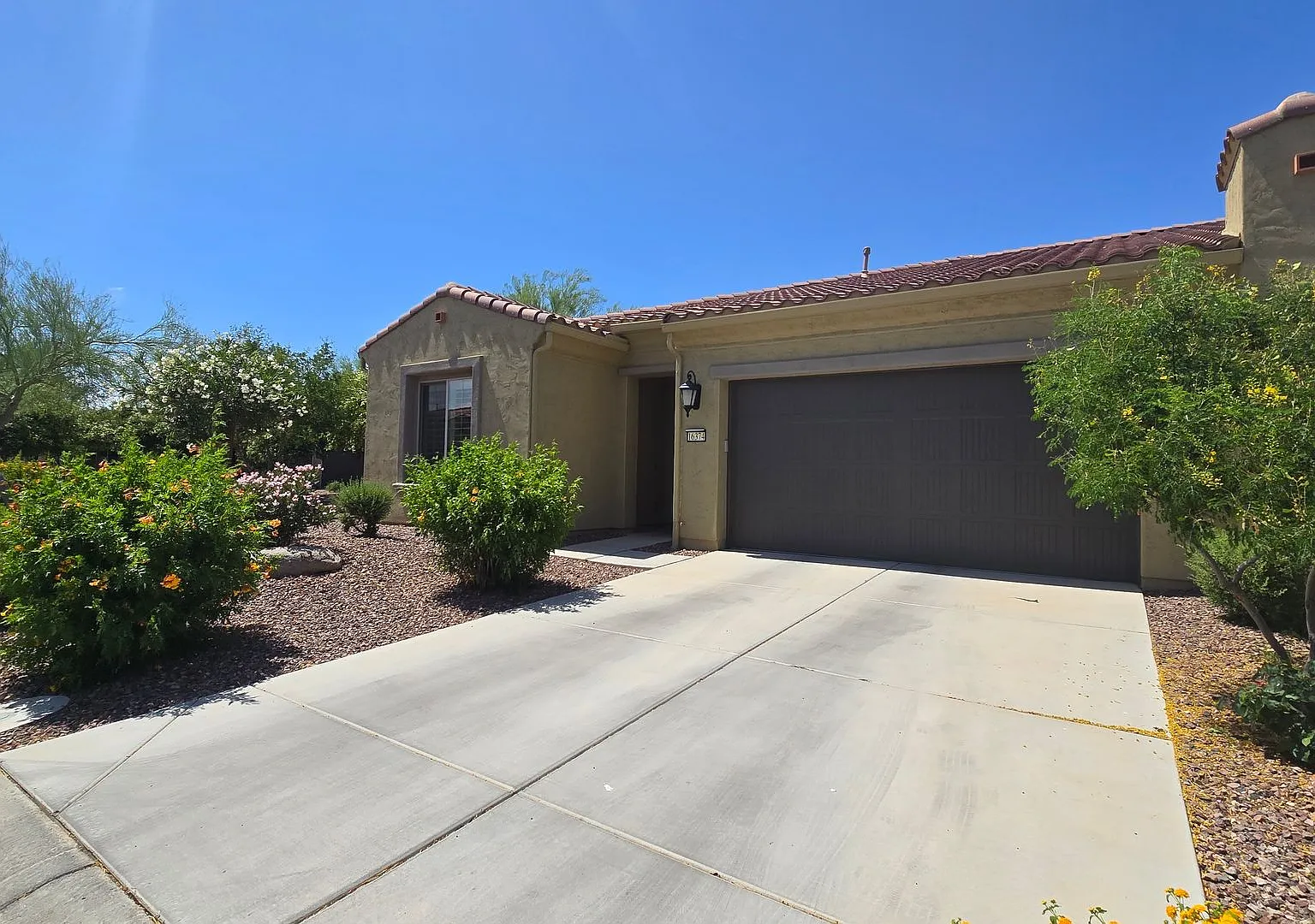 55+ Amenity rich Pebble Creek community! — Photo 3