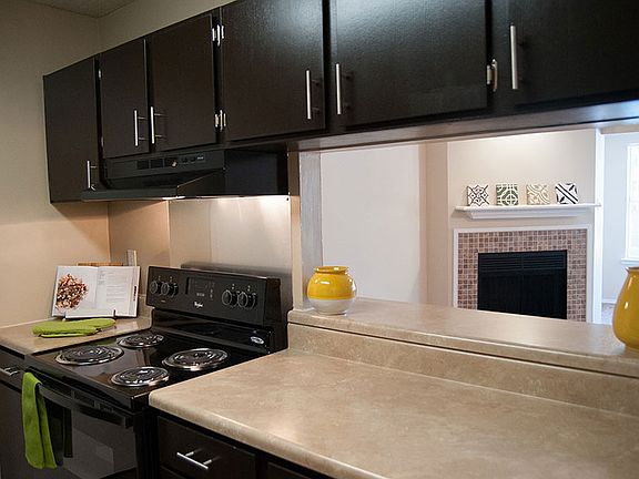 Newly Renovated Kitchen with ungraded appliances and espresso cabinets