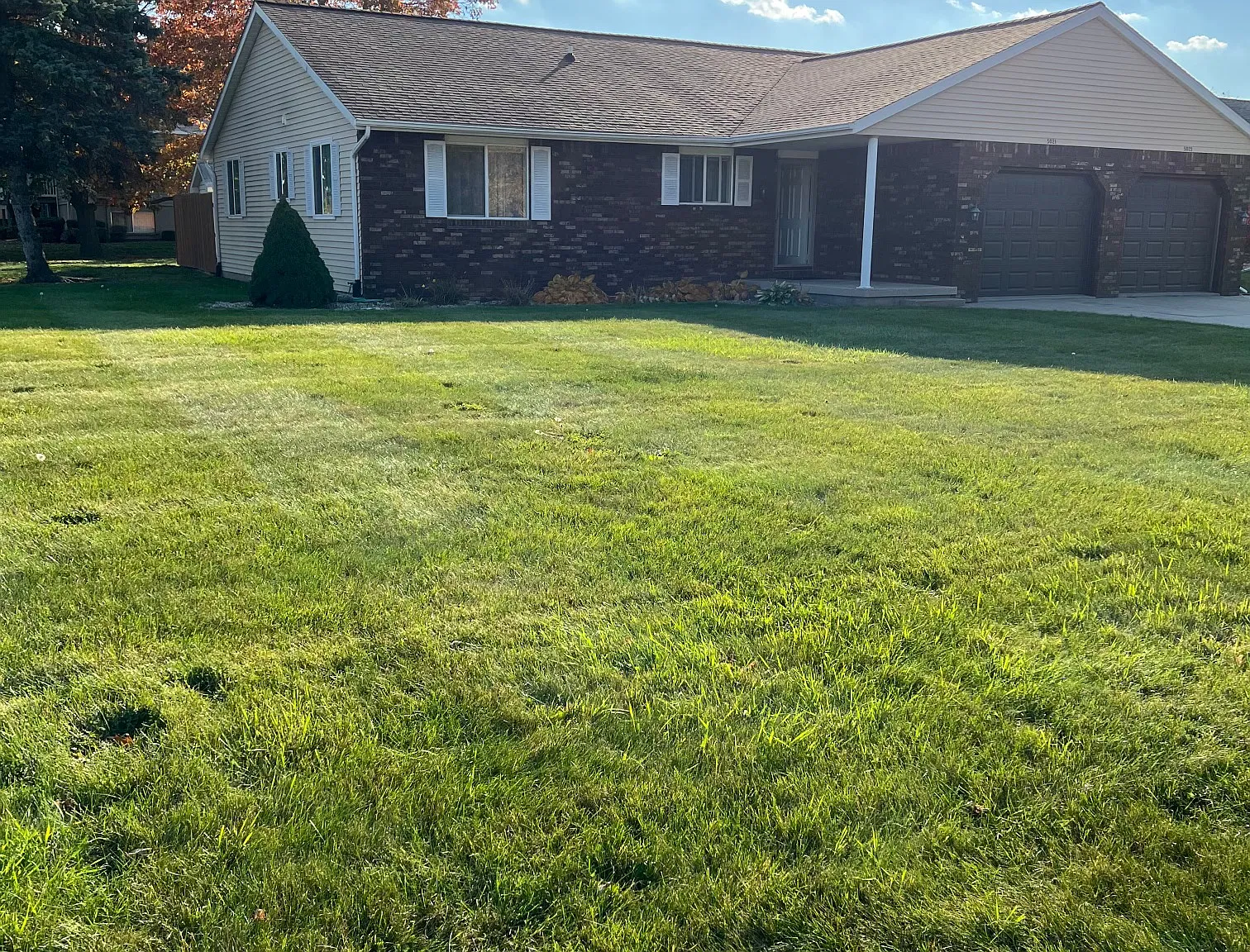 2 bed, 900 sqft, $1,250 — Photo 1