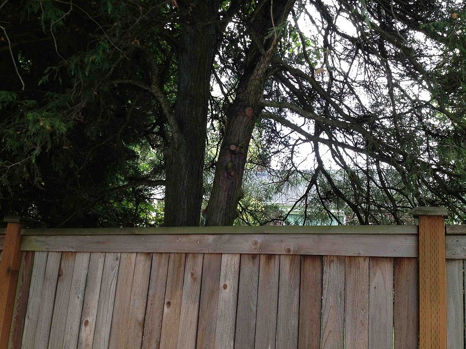 2nd image of 10404 Roosevelt Way NE