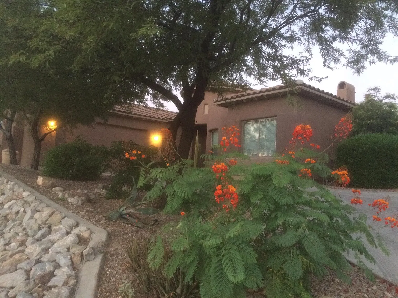 6123 N Placita Manantial La Paloma — Photo 1