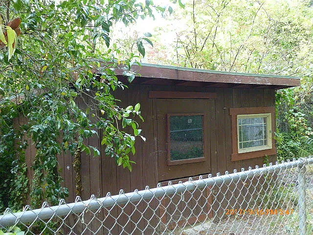 12827 Avenue Of The Giants — Photo 11