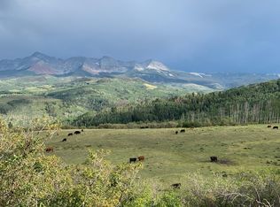 Fall Creek Rd, Placerville, CO 81430