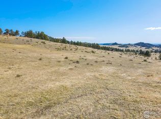 234 Mount Champion Dr, Livermore, CO 80536