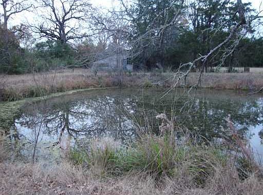 3rd image of 4704 N Texas Ave