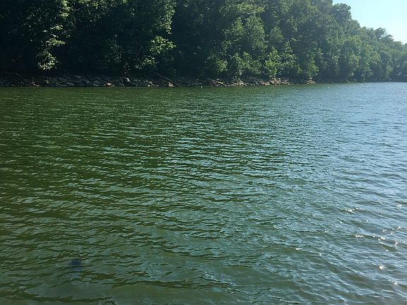 Lake Front from shore