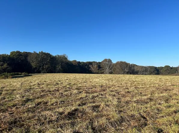 0 Old Columbus Rd #89.4-236, Bowdon, GA 30108