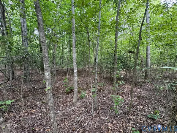 LOT 4 Plum Tree Rd Lot 4, Bumpass, VA 23024