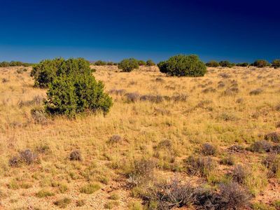 3160 Laurence Dr, Williams, AZ, 86046