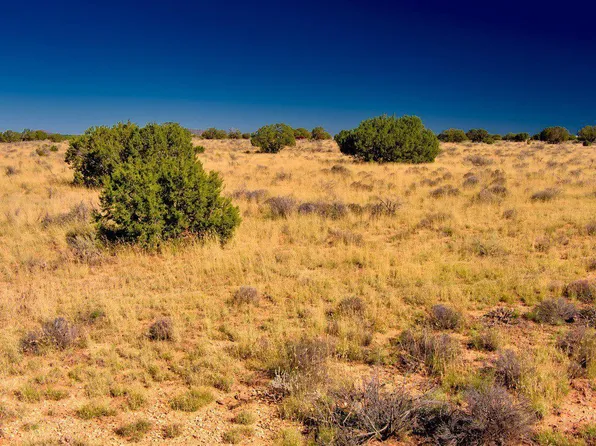 3160 Laurence Dr, Williams, AZ 86046