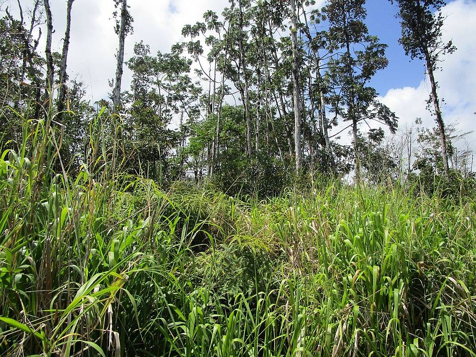 1st image of Hinalea St Lot 309