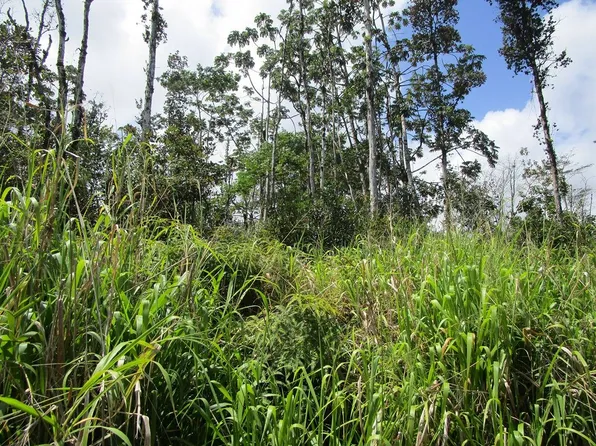 Hinalea St Lot 309, Pahoa, HI 96778