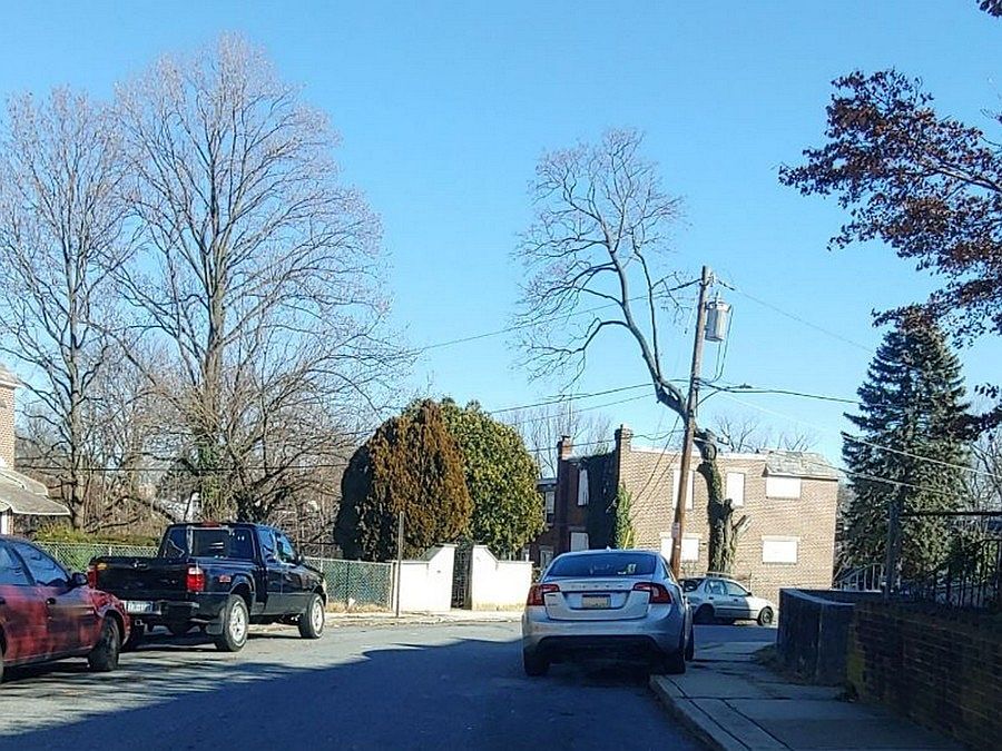 2nd image of 39 Concord Rd