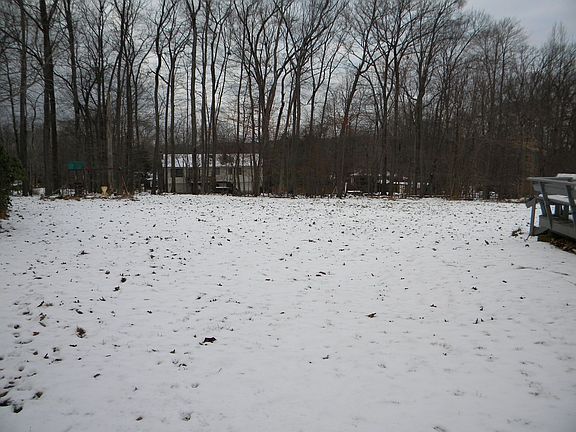 Large Level Backyard