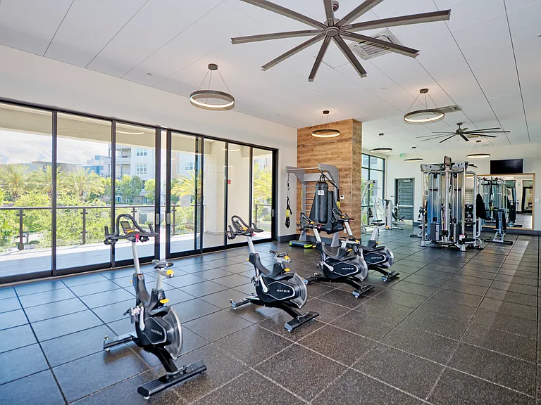 45128 Warm Springs Blvd #231 — Photo 41