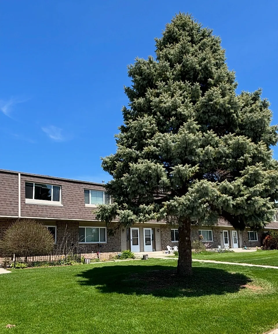 3 bed, 2.5 bath, 1300 sqft, $1,950 — Photo 4