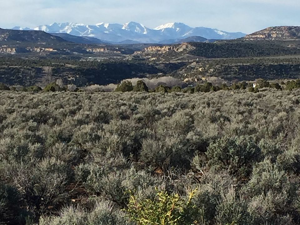 2nd image of 42 Road 2390