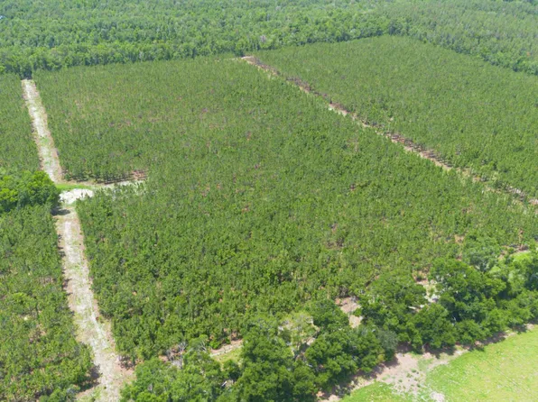 5 221st Rd, Live Oak, FL 32060