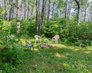 Tbd12 Orr Buyck Rd, Orr, MN, 55771