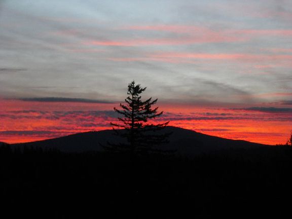 Sunrise View