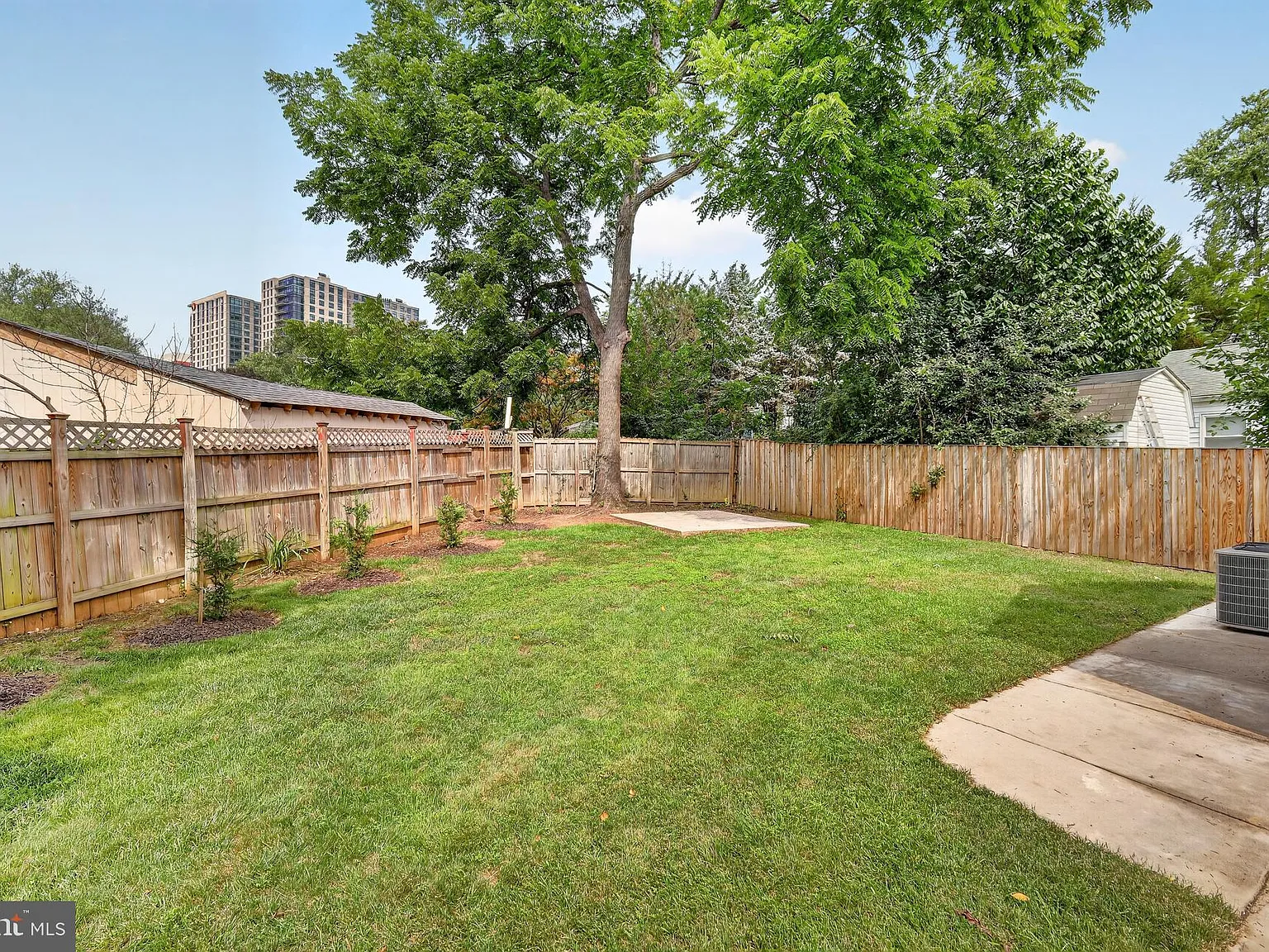 3 bed, 2.0 bath, 1030 sqft, $3,500 — Photo 4