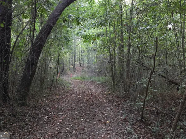 2486 Highway 54, Moreland, GA 30259