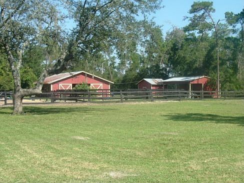 Barns 
