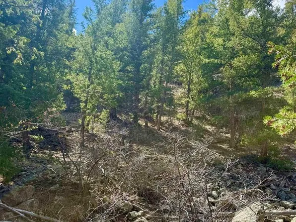 tdb Lochleven Lane, Almont, CO 81210